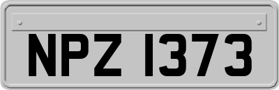 NPZ1373