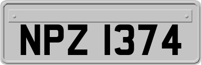 NPZ1374