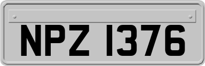 NPZ1376