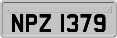 NPZ1379