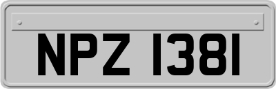 NPZ1381