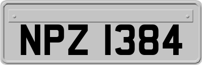 NPZ1384