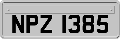 NPZ1385
