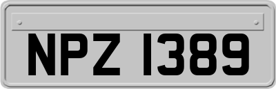 NPZ1389