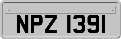 NPZ1391