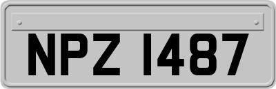 NPZ1487