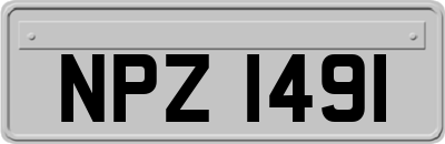 NPZ1491