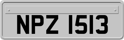 NPZ1513
