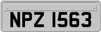 NPZ1563