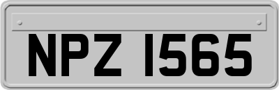 NPZ1565