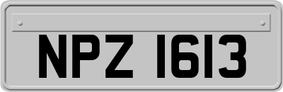 NPZ1613