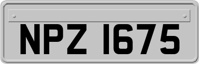 NPZ1675