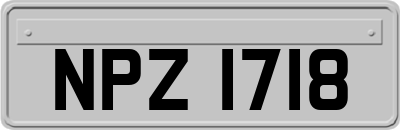 NPZ1718