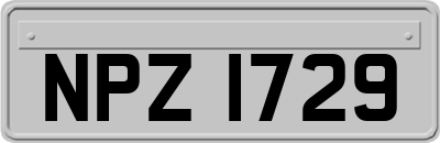 NPZ1729