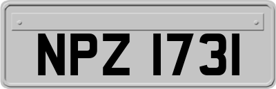 NPZ1731