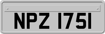 NPZ1751