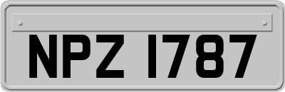 NPZ1787