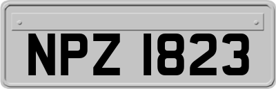 NPZ1823