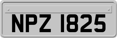NPZ1825