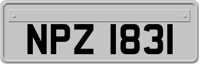 NPZ1831