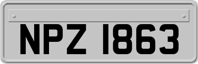 NPZ1863
