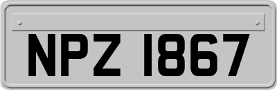 NPZ1867