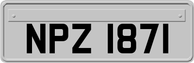 NPZ1871
