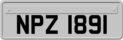 NPZ1891