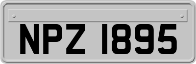 NPZ1895