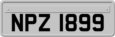 NPZ1899