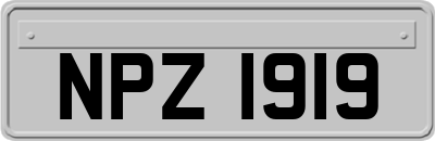 NPZ1919