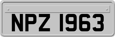 NPZ1963