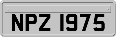 NPZ1975