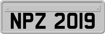 NPZ2019