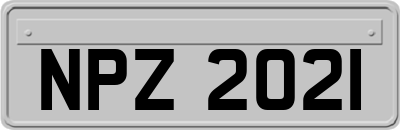 NPZ2021