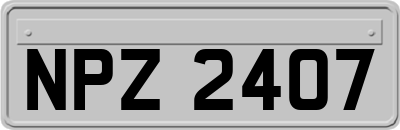 NPZ2407