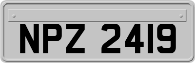 NPZ2419