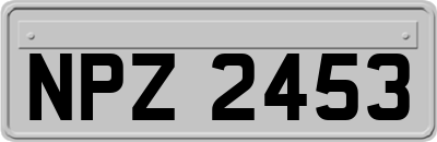 NPZ2453