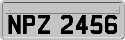 NPZ2456