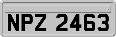 NPZ2463