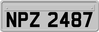 NPZ2487