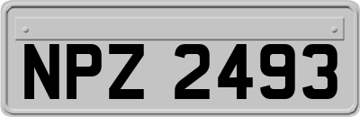 NPZ2493