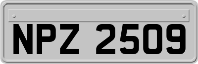 NPZ2509