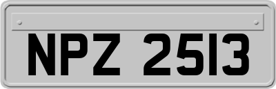 NPZ2513