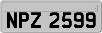 NPZ2599