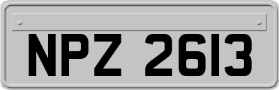 NPZ2613