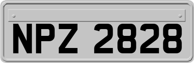 NPZ2828