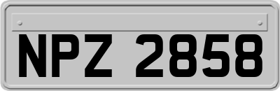 NPZ2858
