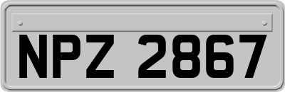 NPZ2867