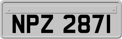 NPZ2871